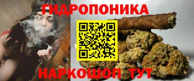 индика Владимир