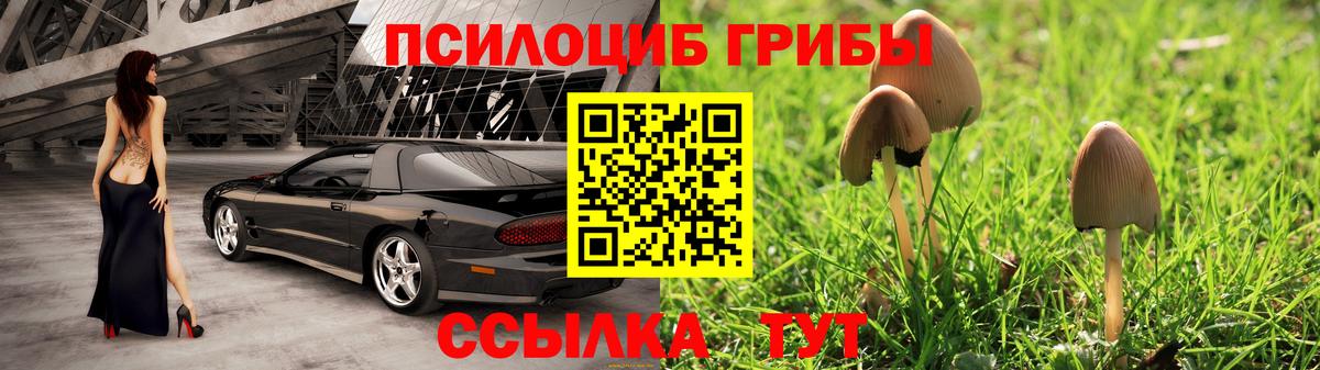 Галлюциногенные грибы MAGIC MUSHROOMS  Вход с VPN  Каменка 